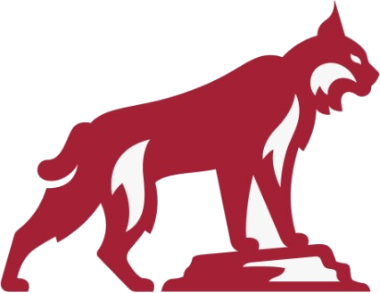 California State University, Chico logo